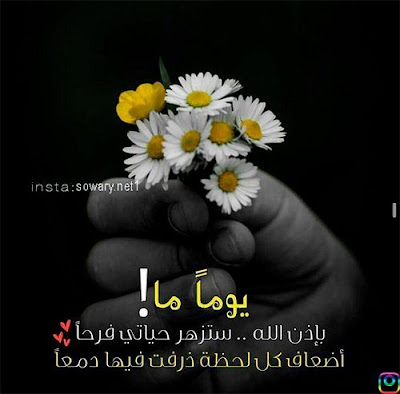 صور جميلة 2021 Hd صورجميلة جدا للفيس بوك يلا صور