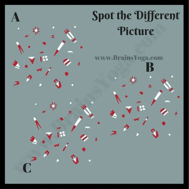 Odd One Out Picture Puzzle