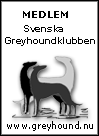 Svensk Greyhound klubb