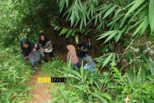 curug, lebuay, curug lebuay, air terjun lebuay, tanggamus, air naningan, desa air naningan curug, lebuay, curug lebuay, air terjun lebuay, tanggamus, air naningan, desa air naningan