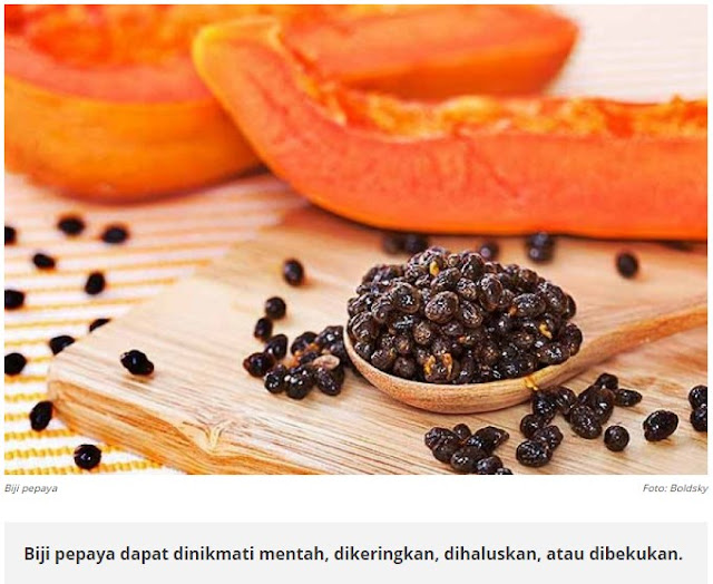 Biji Pepaya Bisa Sembuhkan Liver, Ginjal, dan Saluran Cerna - morPOTE