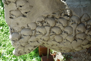 Gustavo Aceves horses migration sculpture exhibition Lapidarium Passo Sospeso Lucca Italy public art Gustavo Aceves horses migration sculpture exhibition Lapidarium Passo Sospeso Lucca Italy public art