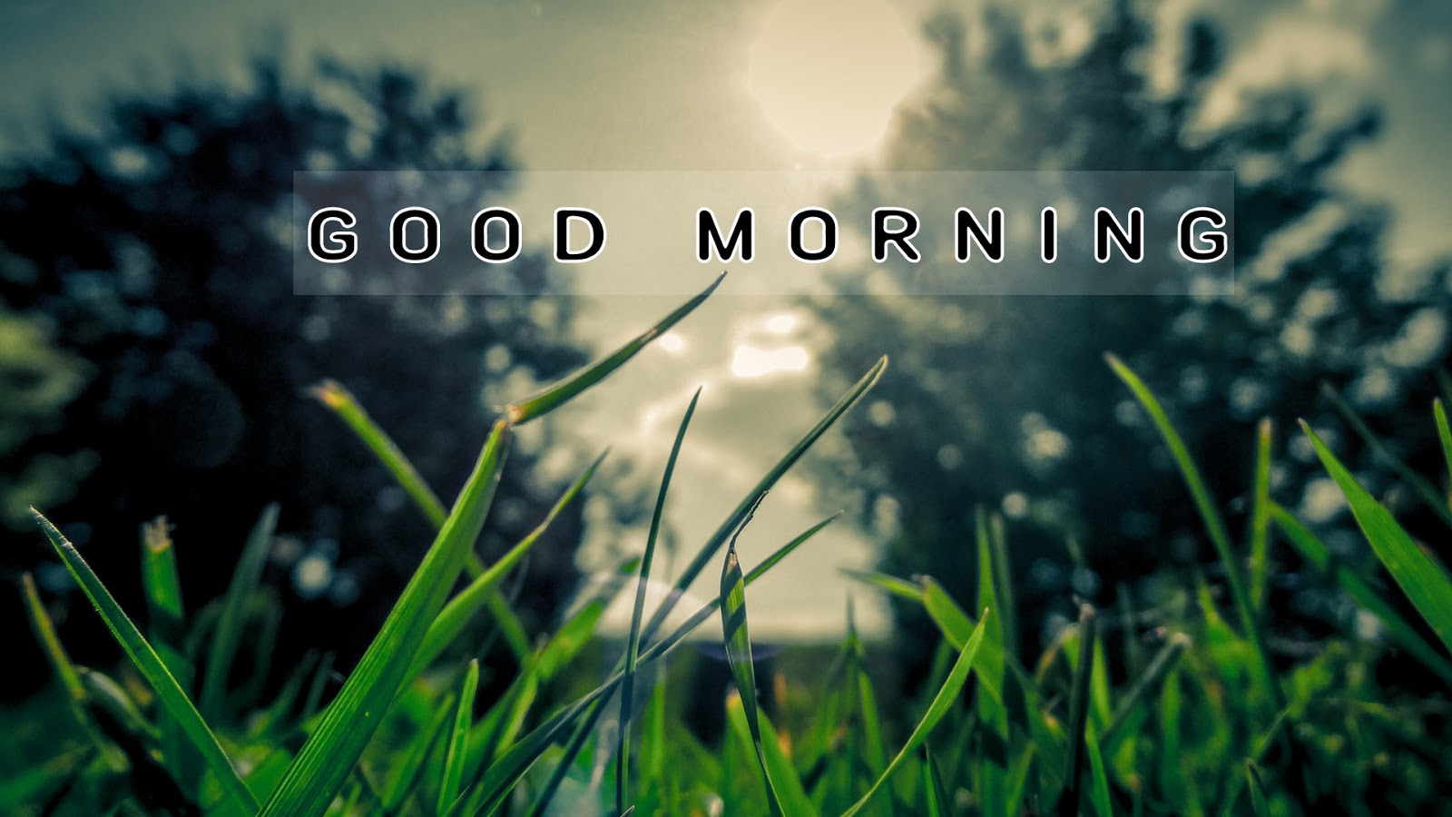 good morning images with quotes good morning images with nature quotes