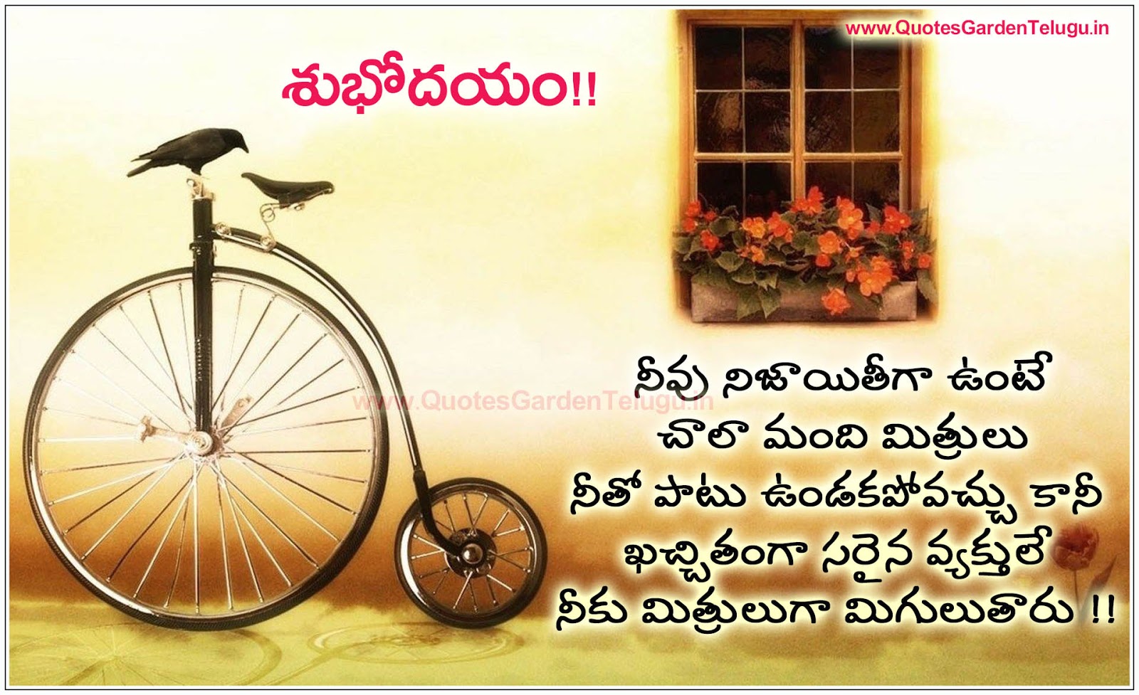 Good Morning Telugu Awesome Life Quotes and Nice Images | QUOTES ...