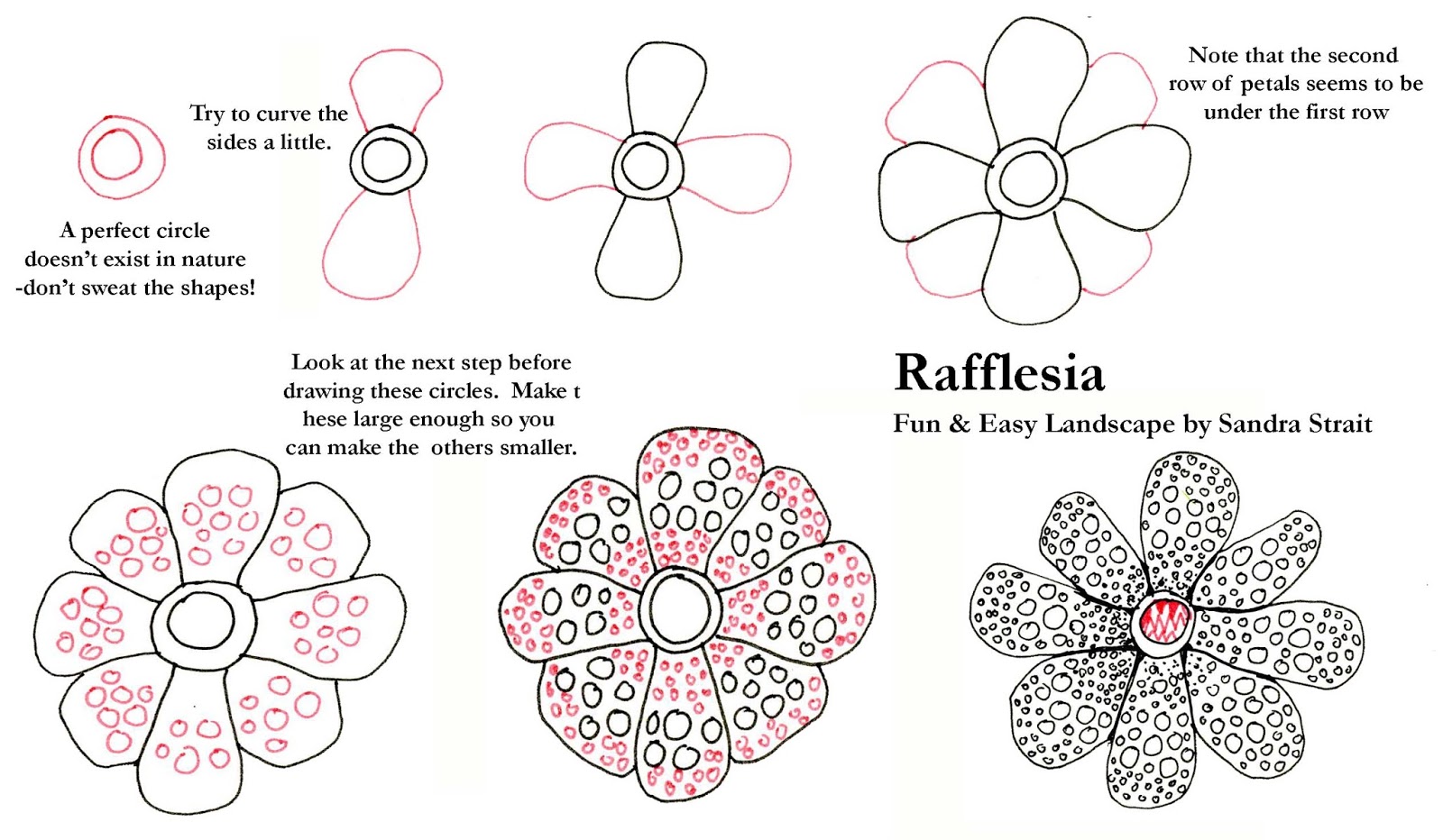 How to draw a rafflesia