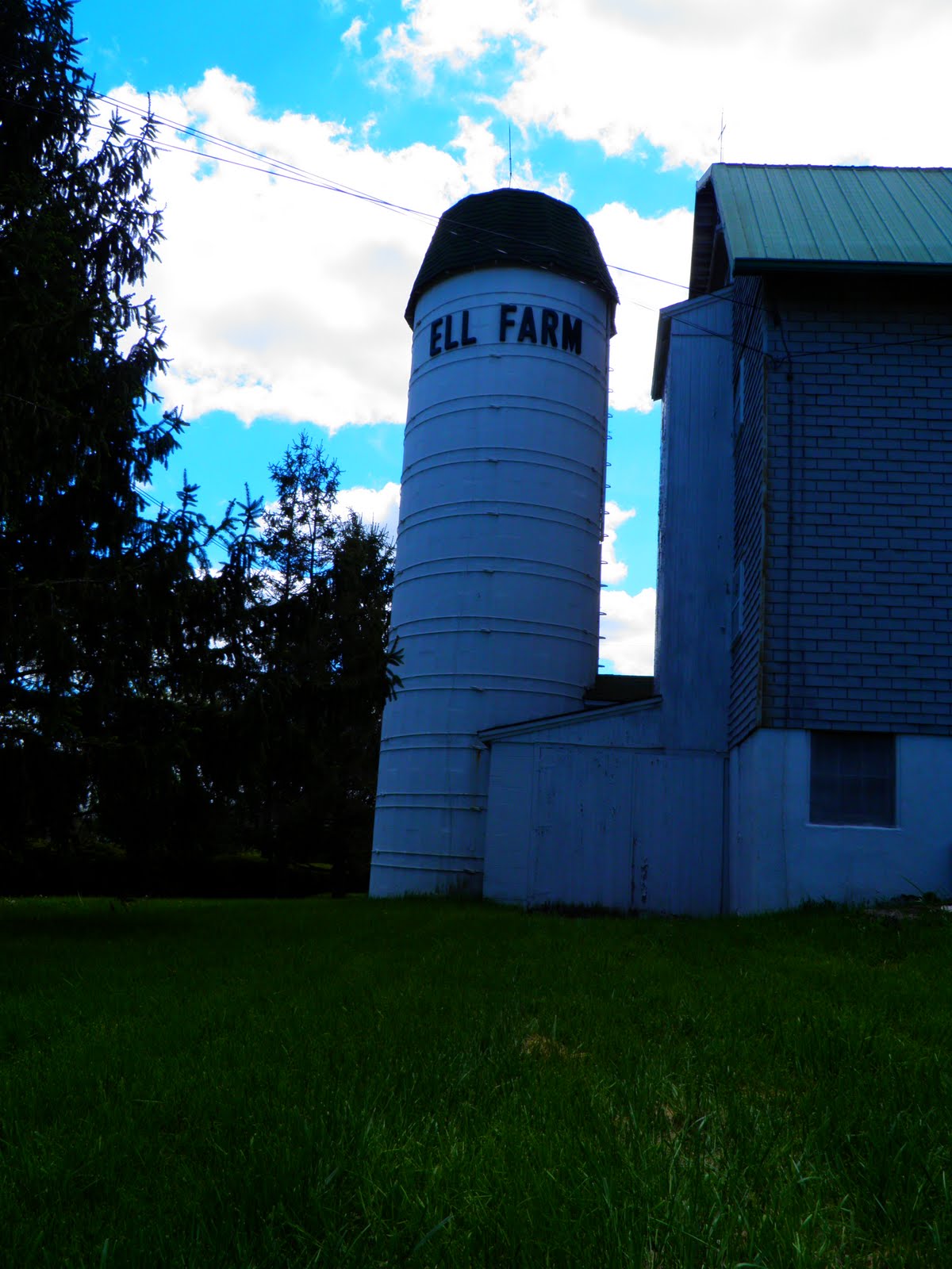 KNUCKLEHEAD Ell Farm