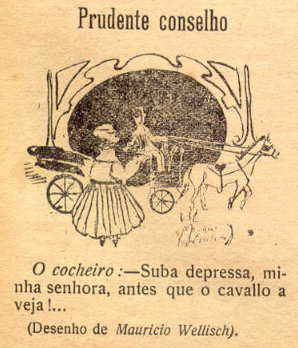 Mauricio Wellisch - o beija-flor