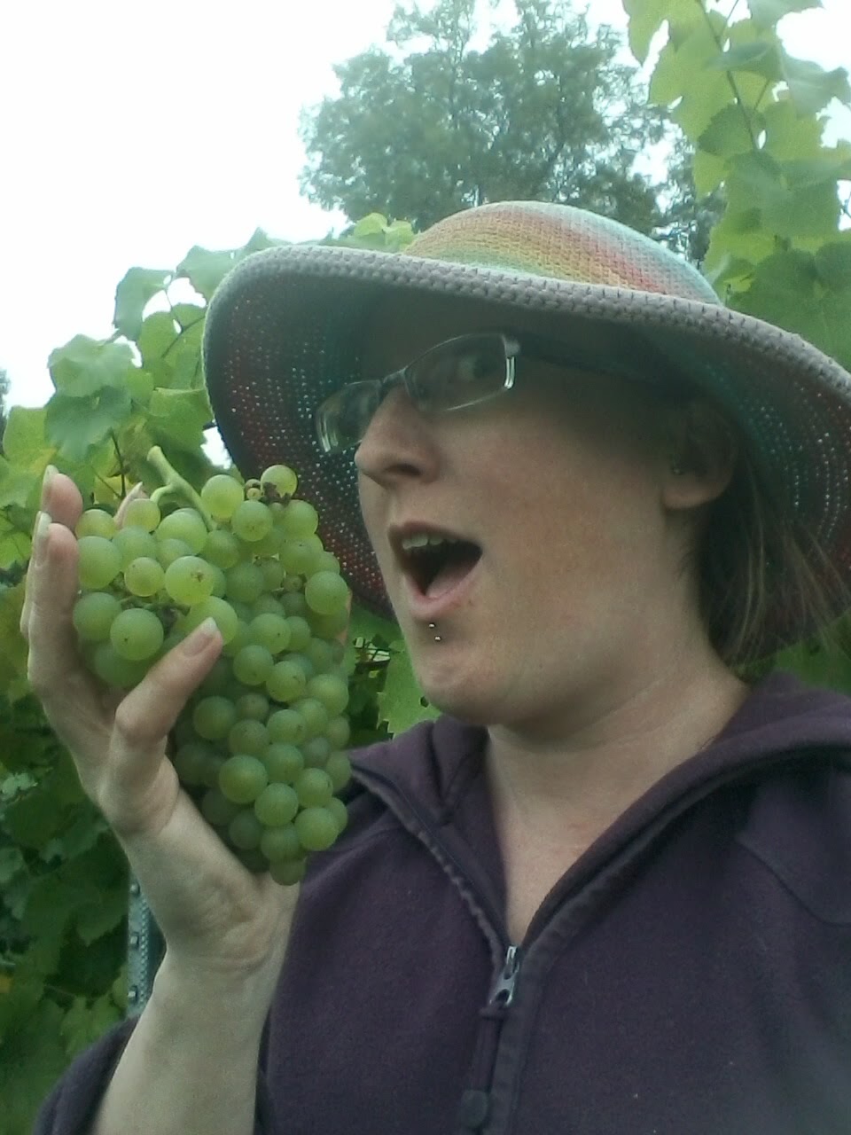 december-wine-tasting