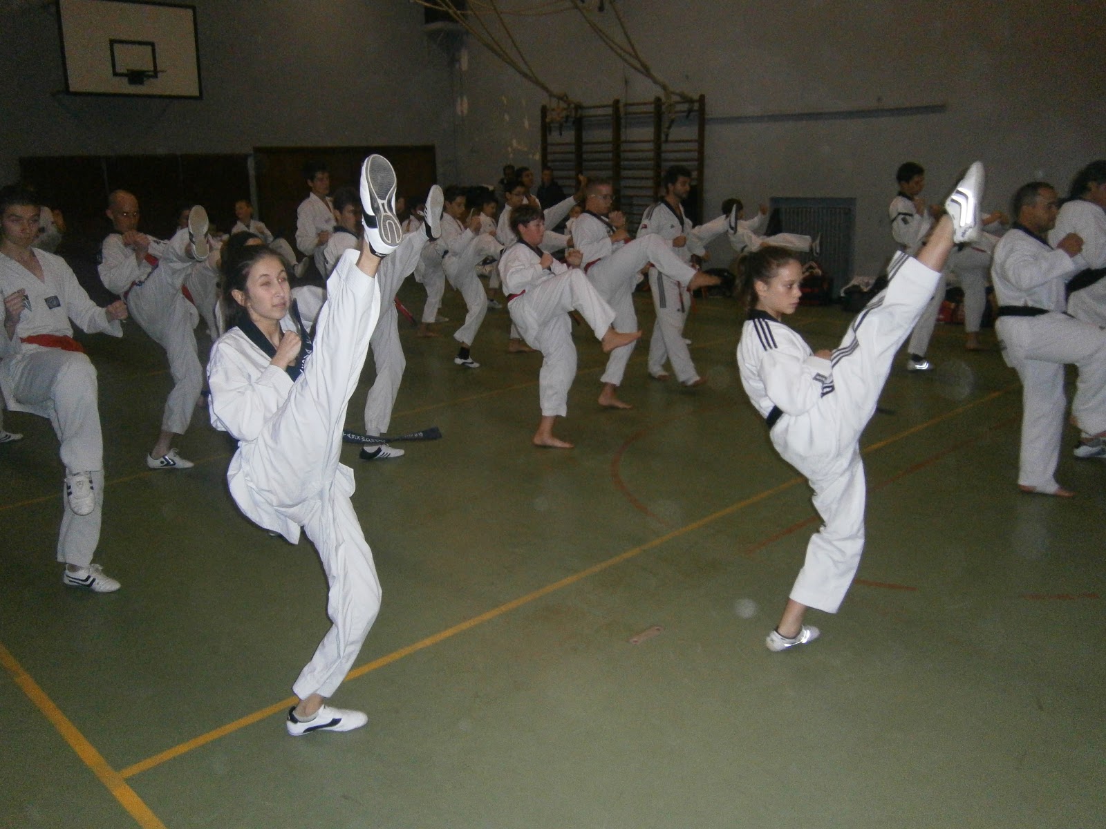 Livre De Taekwondo : La Technique Du Tchagui De Pil-Won Park - Éd. De Vecchi