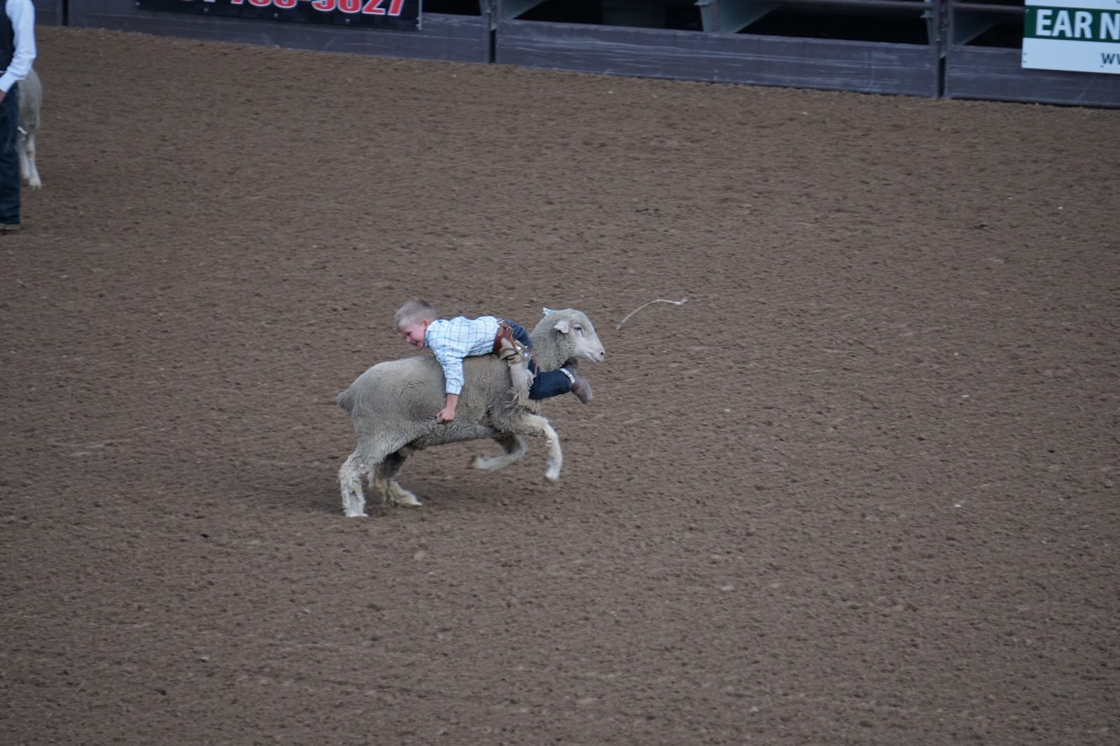 Kazakhstanding Tall: Fiesta Days Rodeo in Spanish Fork