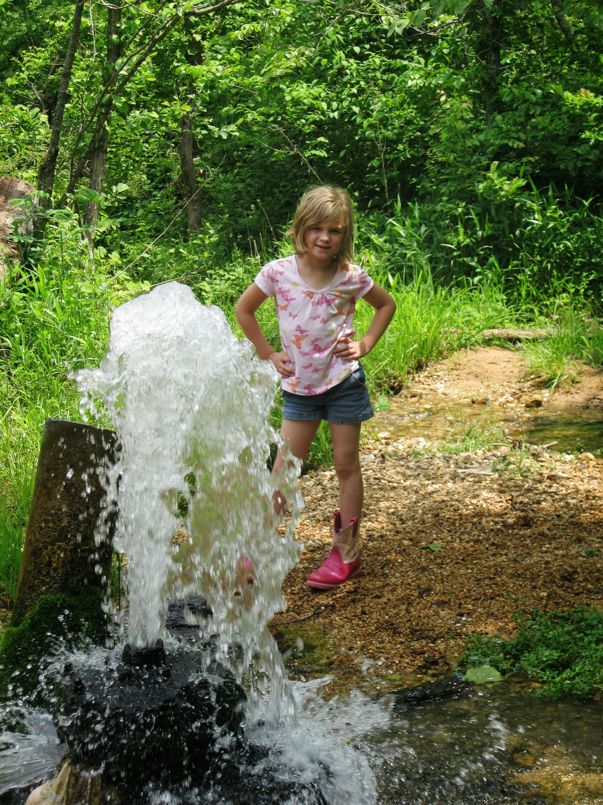 Adventures Among Us Photos of Sycamore Valley Artesian near Marquand, MO