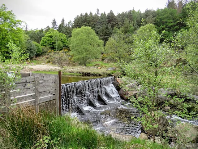 Wicklow Mountains Tour - Water flowing alongside St. Kevin's Way in Glendalough