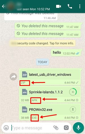 Send Any File Type In WhatsApp