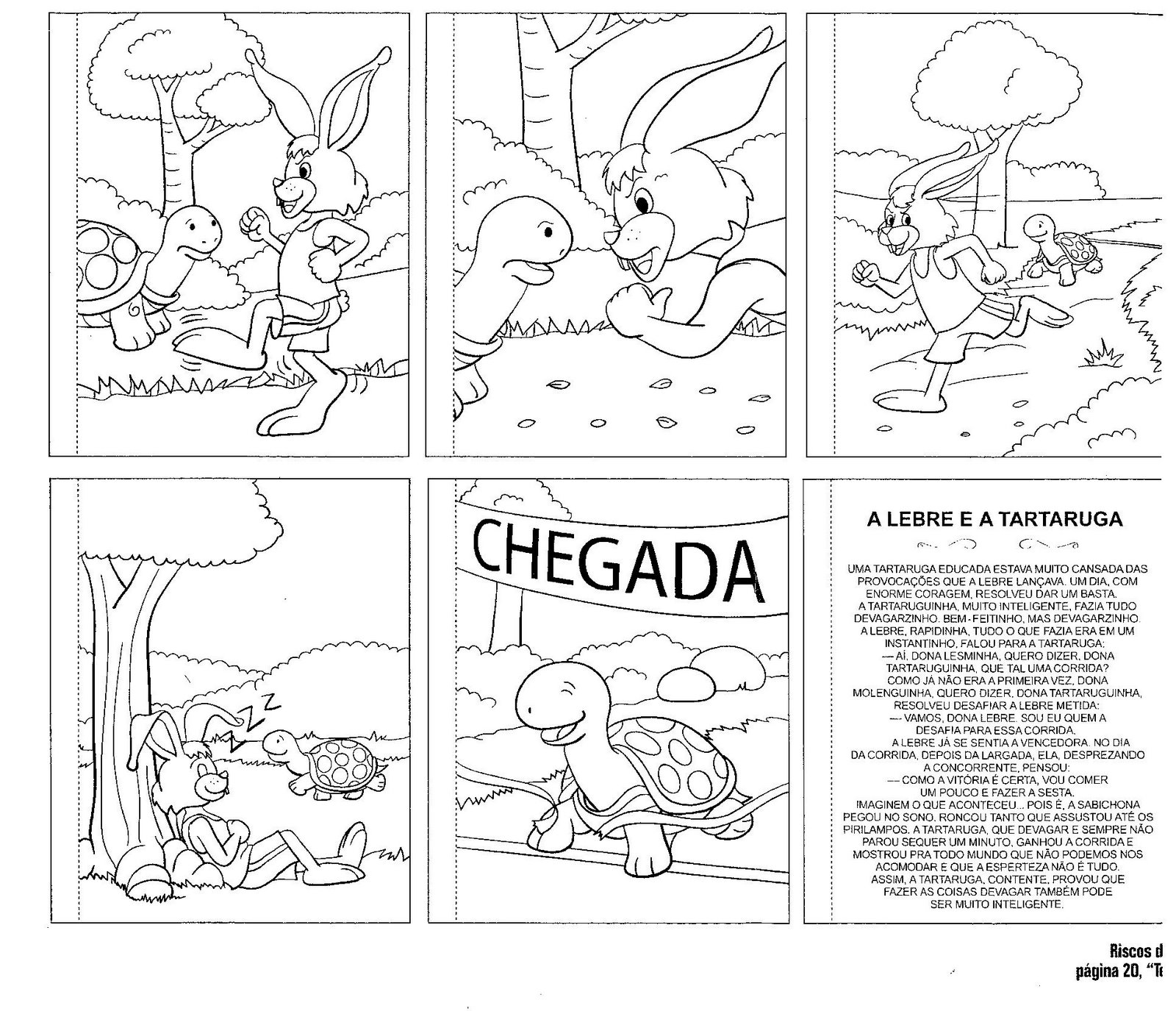 Educando com amor a lebre e a tartaruga Educando com amor a lebre e a tartaruga
