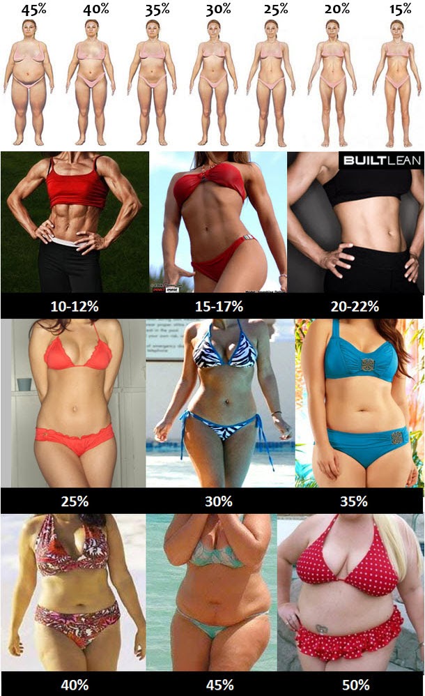 cual es el porcentaje de grasa corporal normal en una mujer