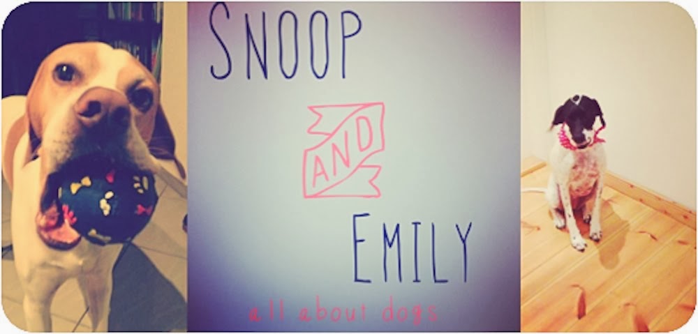 snoop-and-emily