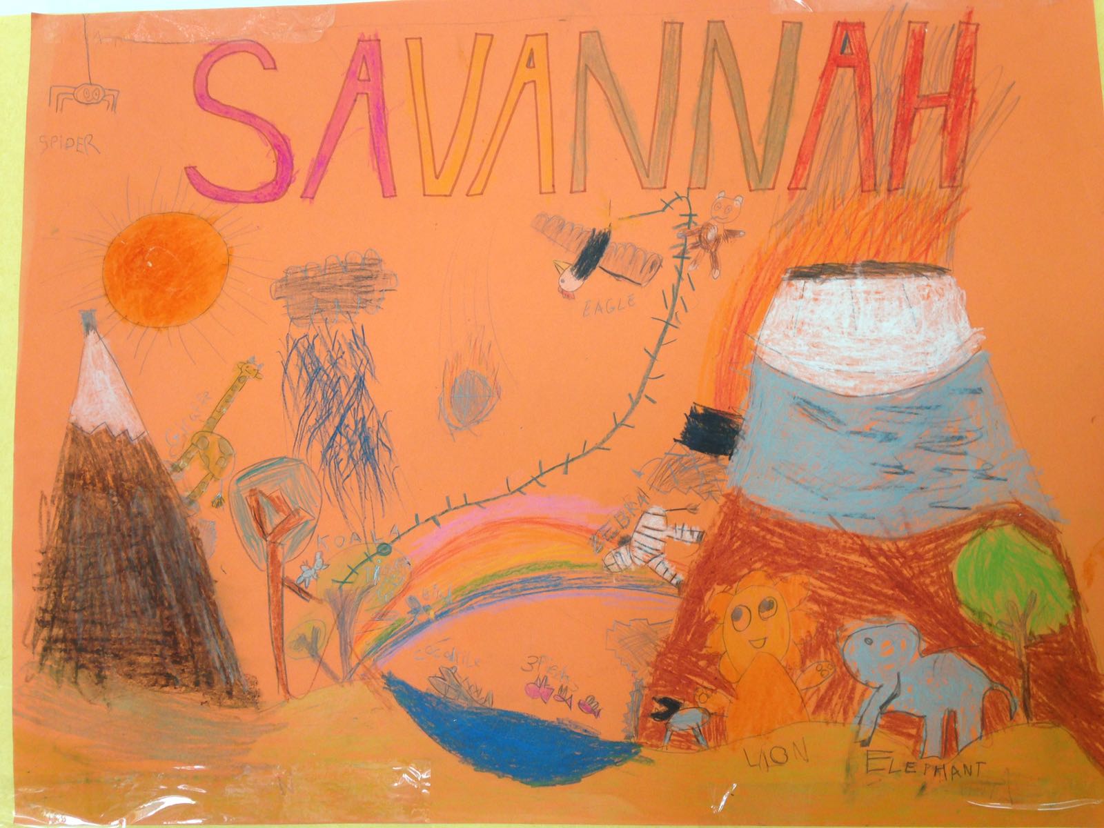 Inglés Animals and their habitats in 2nd grade