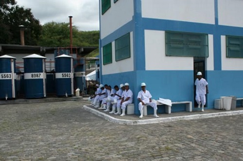 Frigorífico de Jequié deve retomar as atividades nessa segunda (17)