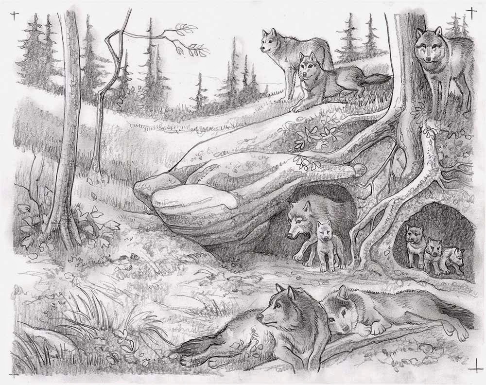 Wolf Den Cutaway LIFE NEEDS ART