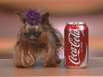 Juni 2013 - ZAHAL™