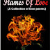 Flames of Love by Olaniyi Ololade Moses 