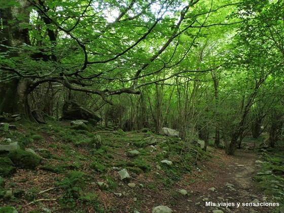 Parque Natural Collados de Asón, nacimiento del río Asón, Cantabria