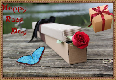 Whatsapp Profiel Pic for Rose Day 2018 Whatsapp Profiel Pic for Rose Day 2018