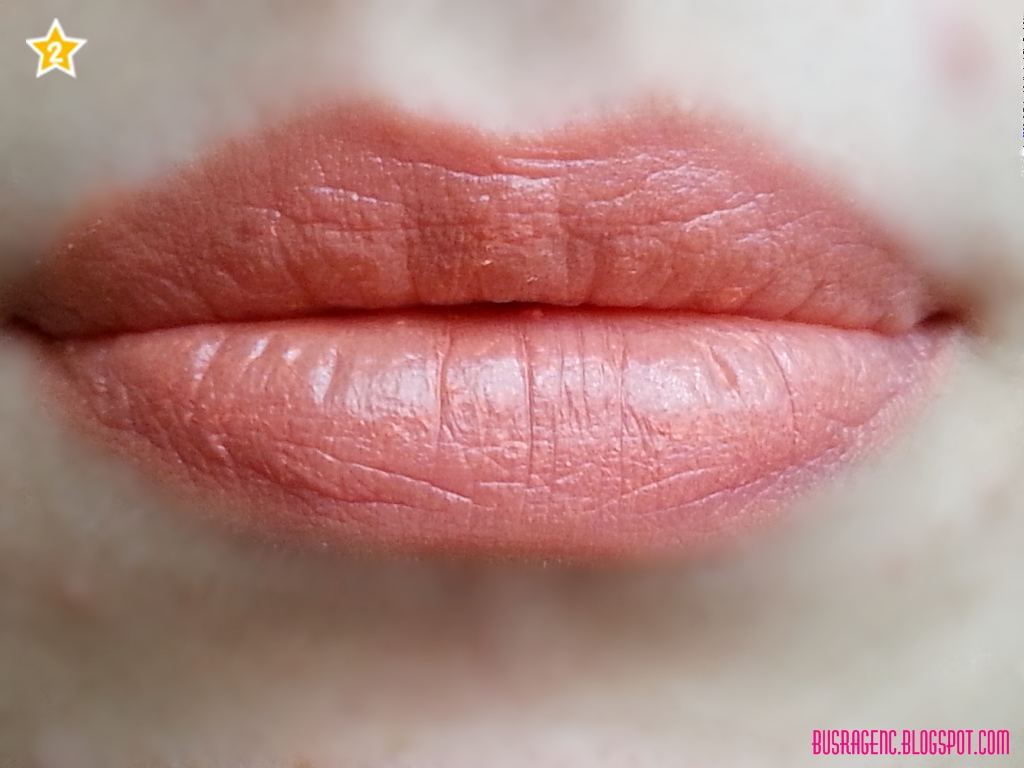 Pastel Pro Fashion 4'lü Ruj Paleti No3