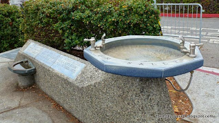 Water Fountain for pets and their owners