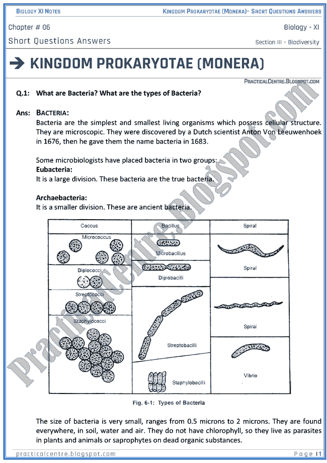 Kingdom Prokaryotae (Monera) - Short Questions Answers - Biology XI