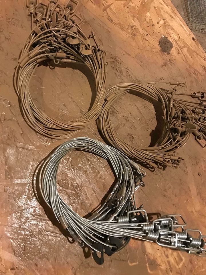 Skye Goode Wisconsin Cable Restraints The Basics