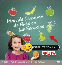 ENCUESTA PLAN CONSUMO DE FRUTA EN LA ESCUELA