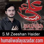 https://www.humaliwalyazadar.com/2018/09/sm-zeeshan-haider-nohay-2019.html