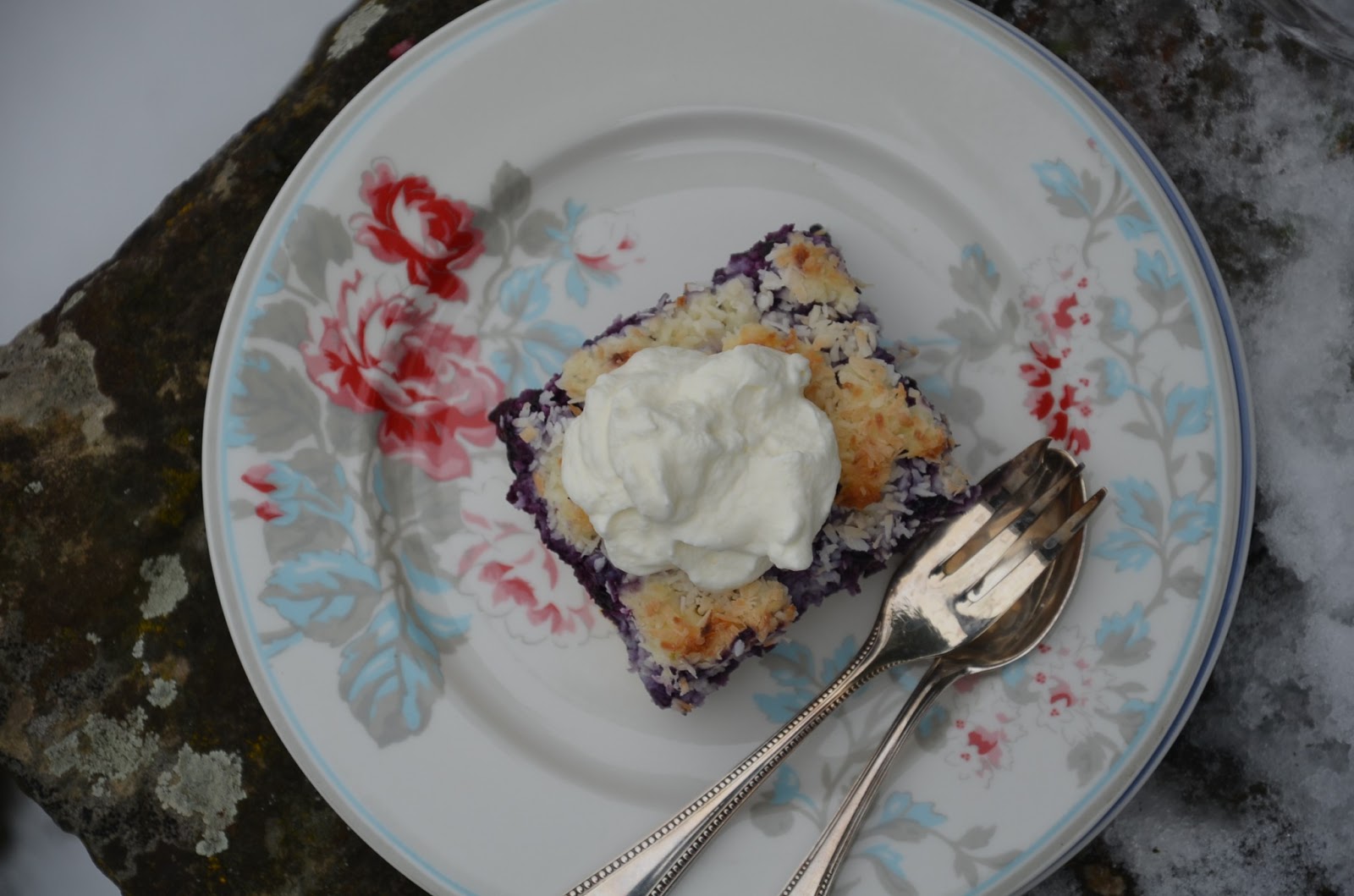 Blaubeer- Kokos- Schnitten