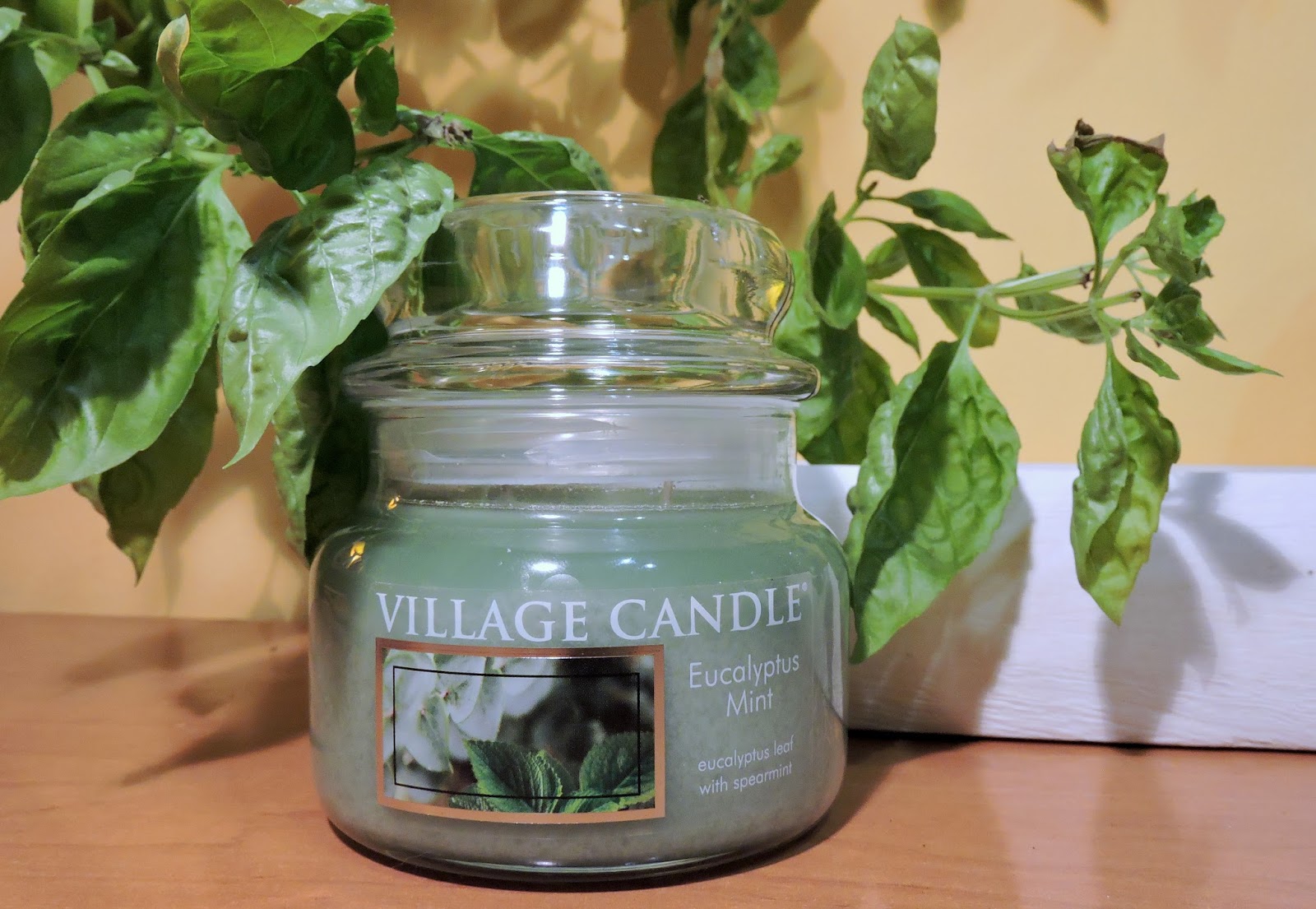 Włosowe Inspiracje Witaj w świecie pięknych i zadbanych włosów! Village Candle Eucalyptus