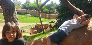 Bioparc Valencia. Bioparc Valencia.