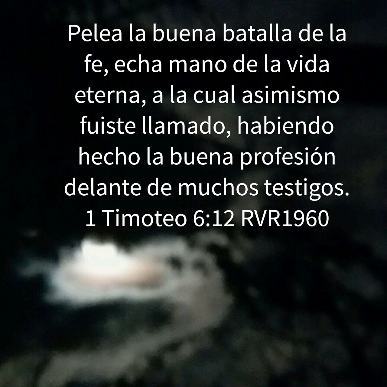 1 Timoteo 6:12