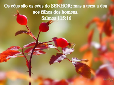 Salmo do dia - Salmo 115 Salmo do dia - Salmo 115