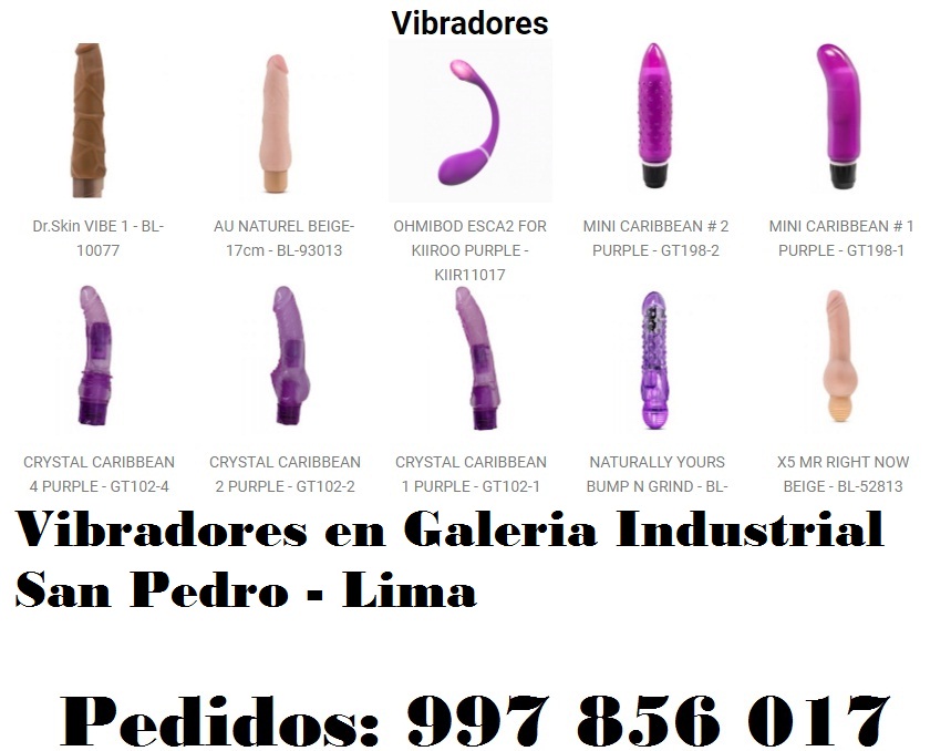 en Galeria Industrial San Pedro - Lima