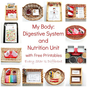 My Body:  Digestive System and Nutrition Unit with free Printables