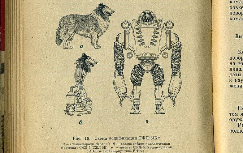残酷な犬の実験と検査産業