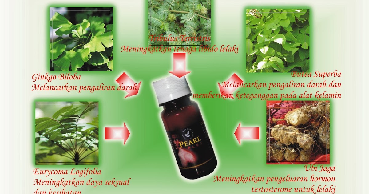 Ubat Herba Untuk Vertigo  Opening q