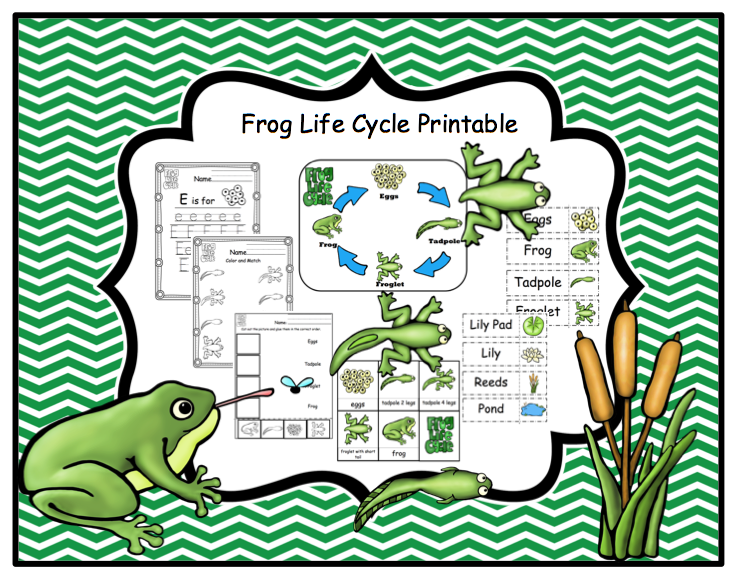 frog-life-cycle-printable-preschool-printables