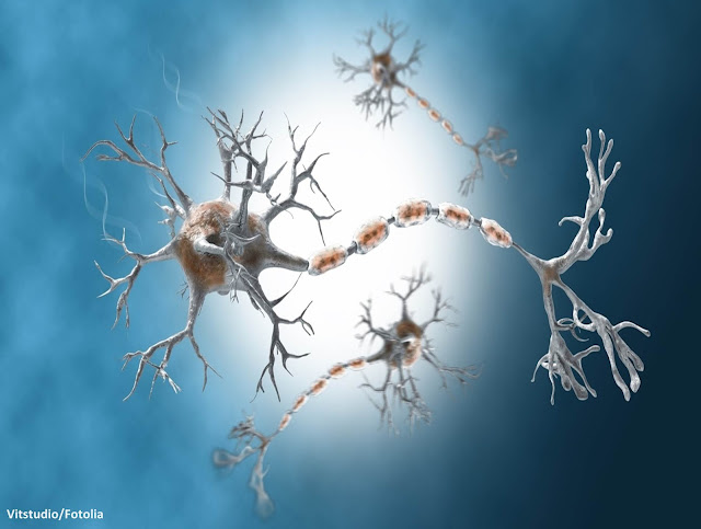 متلازمة غيلان باريه Guillain-Barré syndrome متلازمة غيلان-باريه, متلازمة غيلان باريه, Guillain-Barré syndrome, سبب متلازمة غيلان باريه, أعراض متلازمة غيلان باريه, علاج متلازمة غيلان باريه