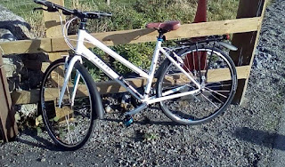 Stolen Bicycle - Trek 7.2 FX