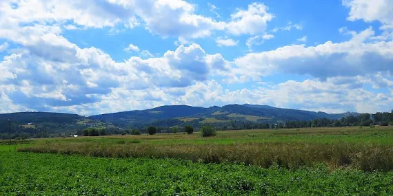 Widok na Pasmo Jaworzyny Krynickiej jaworzyny