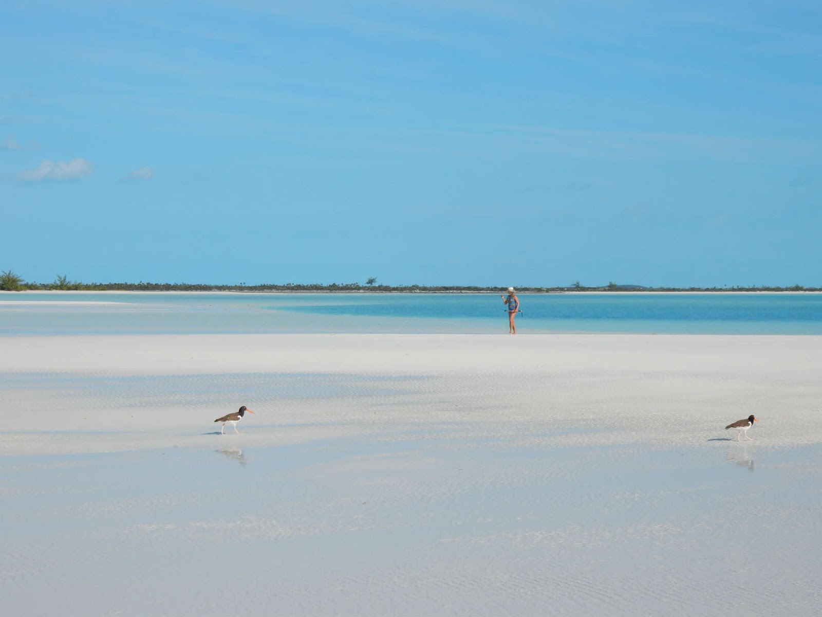 passeio barco exumas bahamas