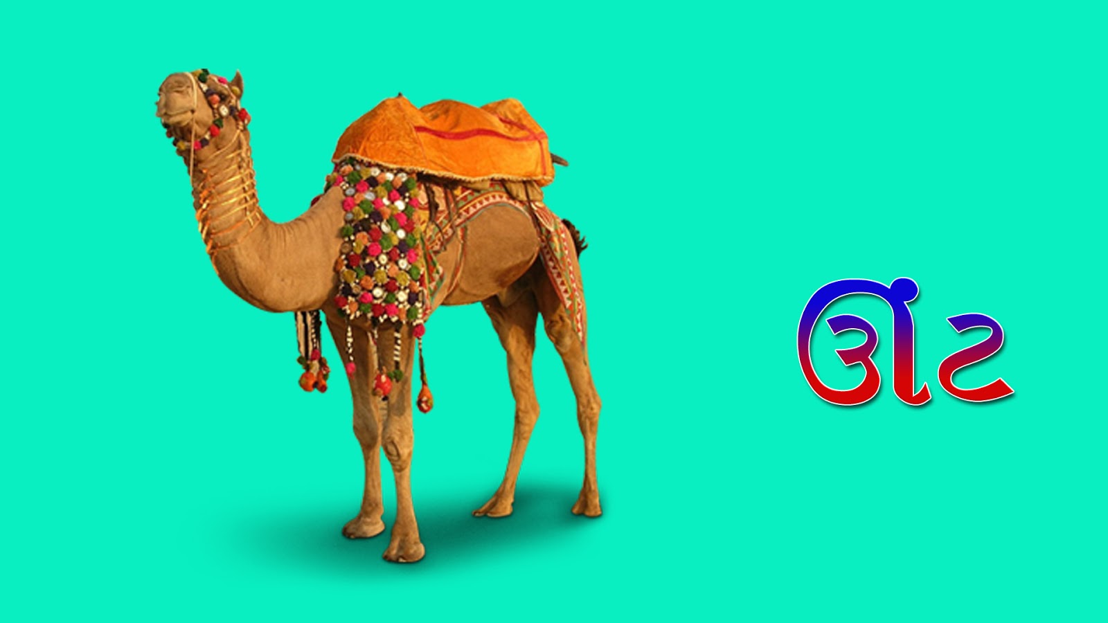 The name of pets In Gujarati , palatu prani name in gujarati-गुजराती