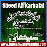 http://ishqehaider.blogspot.com/2013/11/saeed-ali-karbalai-nohay-2014.html