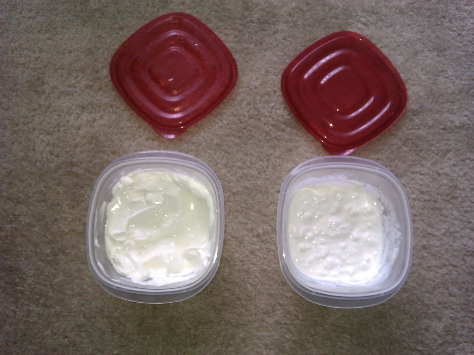 Krazy Kook's Kaos Kitchen Labneh and Quark